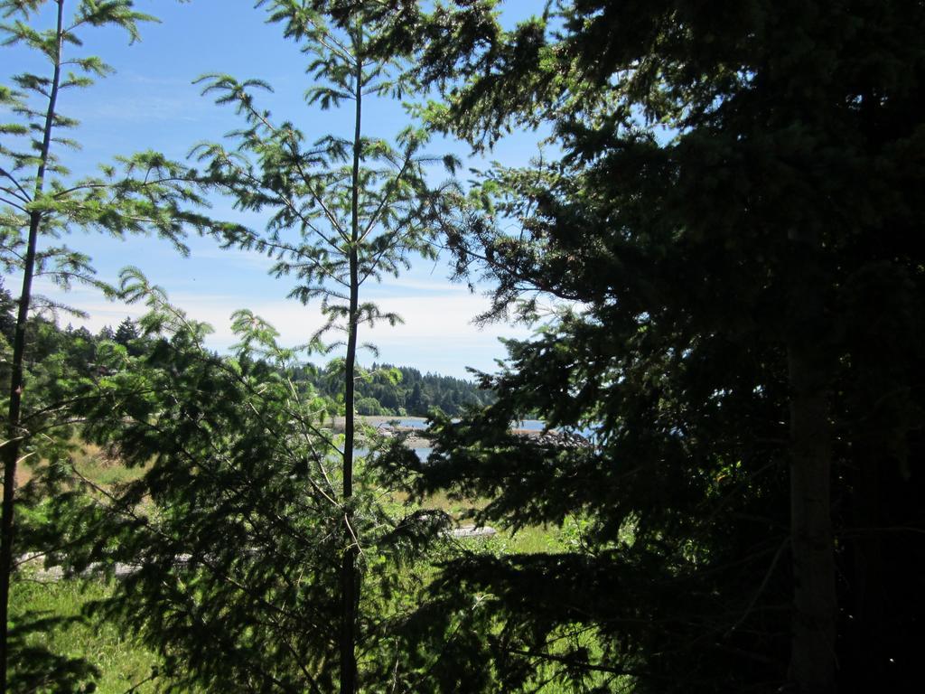 Oceanside Resort Powell River Esterno foto